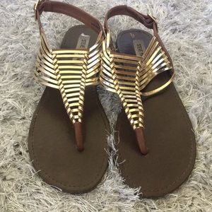 Brown Steve Madden sandals with Gold detailing